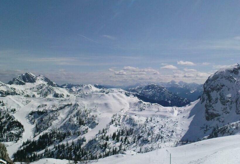 Alpenhäuser Marcius