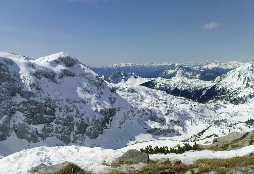 Alpenhäuser Marcius