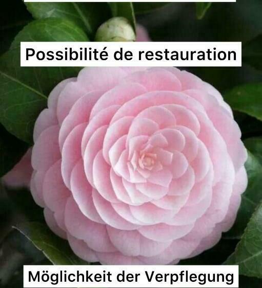 Bed & Breakfast Garni Giacometti