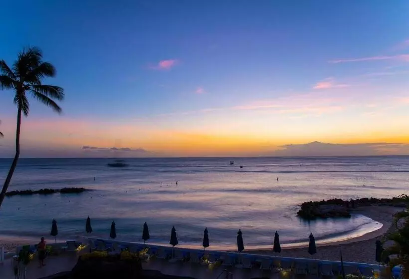 Crystal Cove By Elegant Hotels   All Inclusive