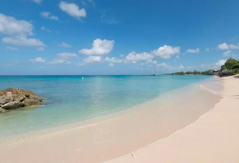 Crystal Cove By Elegant Hotels   All Inclusive