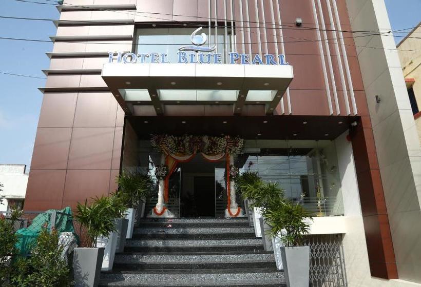 酒店 Blue Pearl Chikmagalur