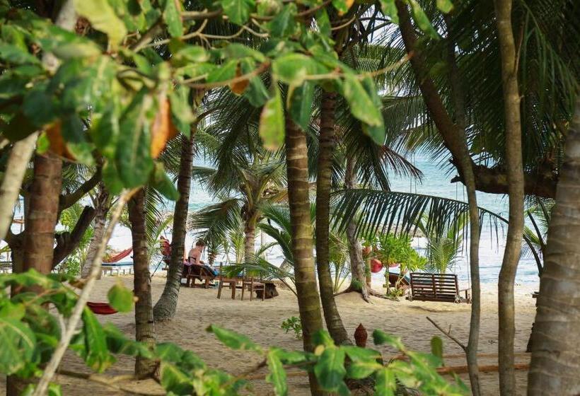 호텔 Ganesh Garden Beach Cabanas