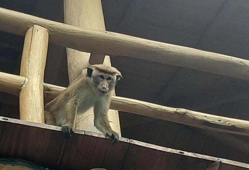 호텔 Ganesh Garden Beach Cabanas