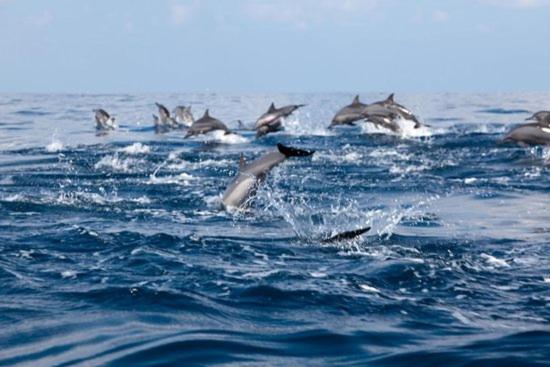 Отель Scoop Cabana Kitesurfing