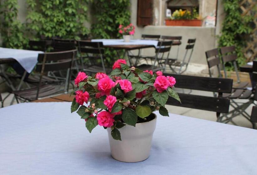 פנסיון Gasthof Butz