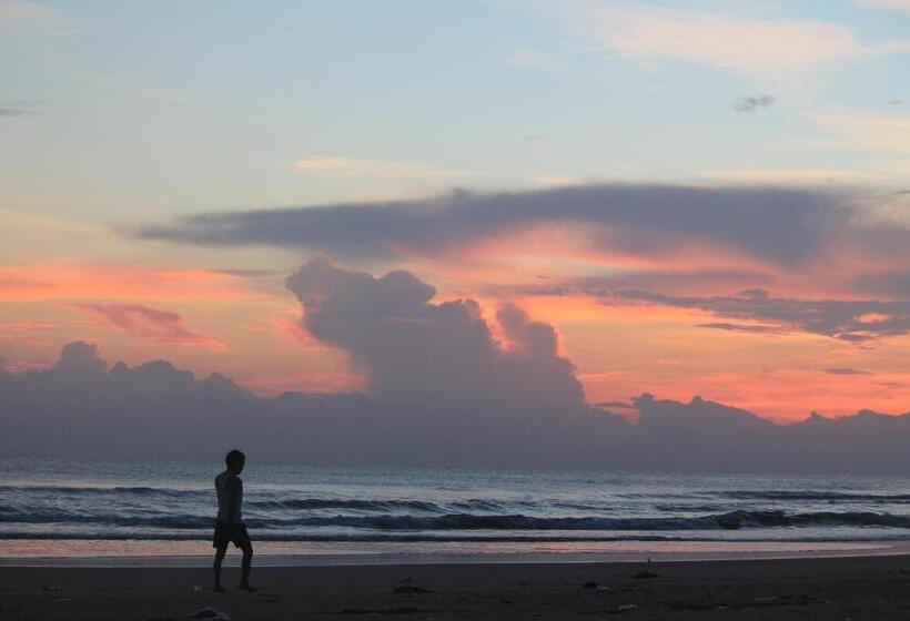 Tam Thanh Natural Beach Resort