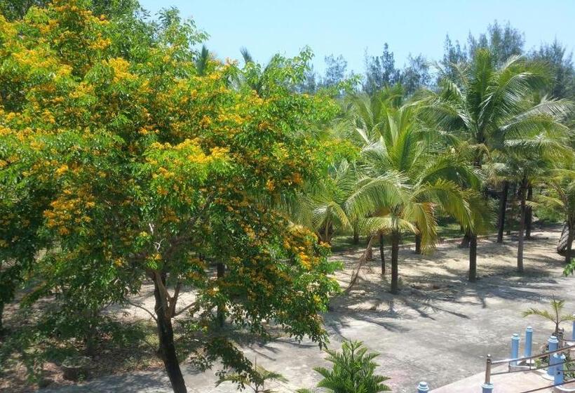 Tam Thanh Natural Beach Resort