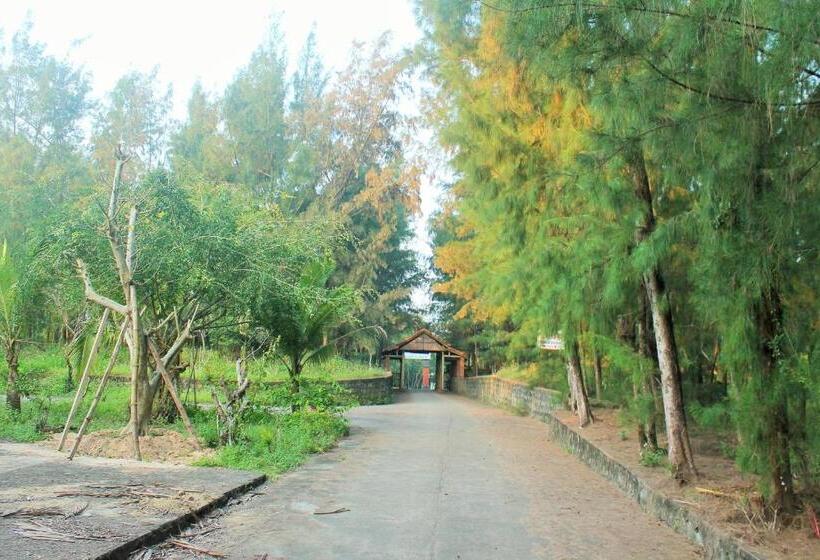Tam Thanh Natural Beach Resort