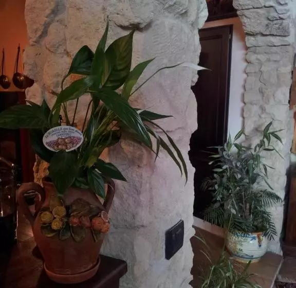 تختخواب و صبحانه Antica Dimora Historic Building