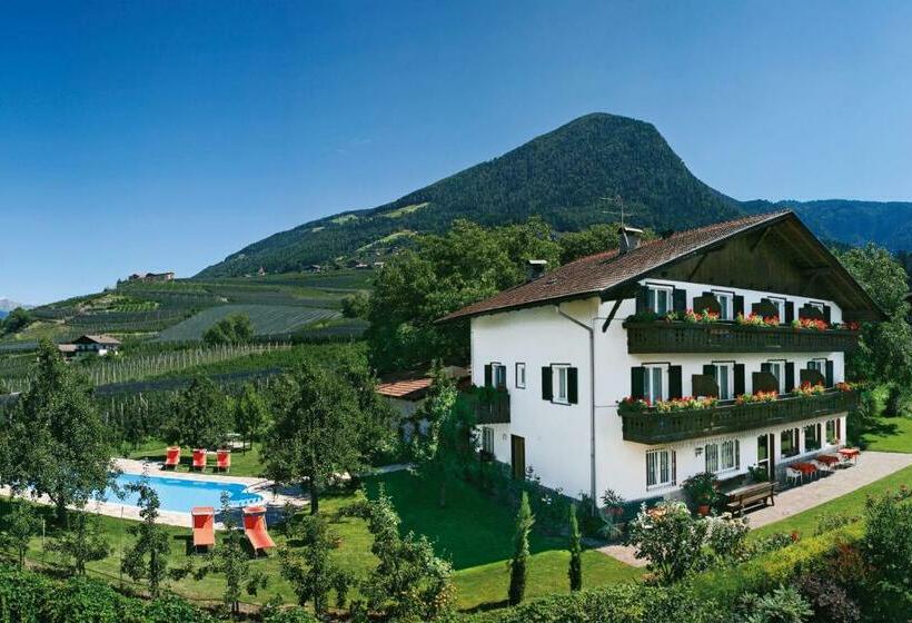 فندق Garni Pluner