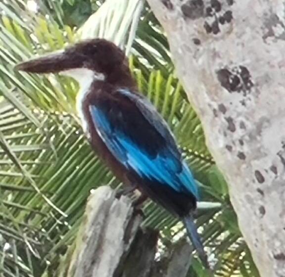 Hotel Rockside Cabanas