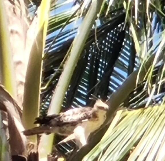 Hotel Rockside Cabanas