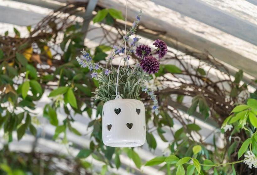 בית מלון כפרי Villa Rosa