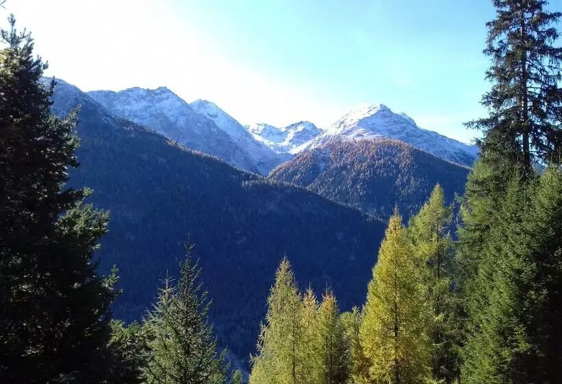 Отель Acla Filli