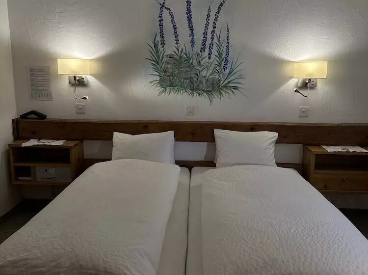 Отель Acla Filli