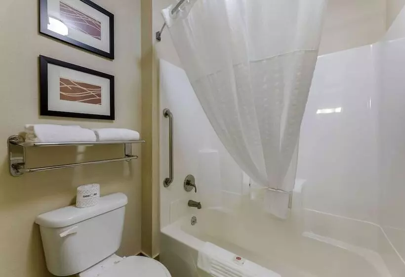 בית מלון כפרי Comfort Inn Mount Vernon