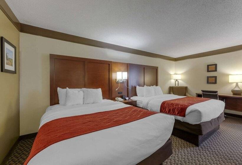 ホテル Comfort Inn Mount Vernon