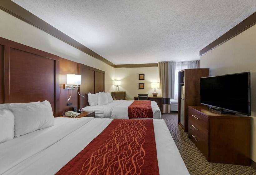 ホテル Comfort Inn Mount Vernon