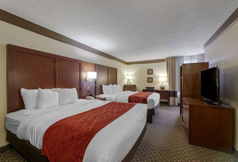 ホテル Comfort Inn Mount Vernon