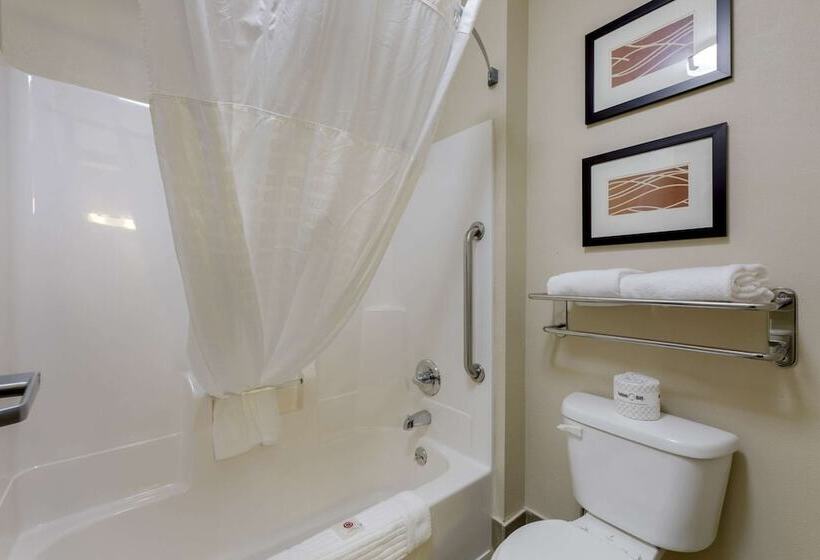 ホテル Comfort Inn Mount Vernon