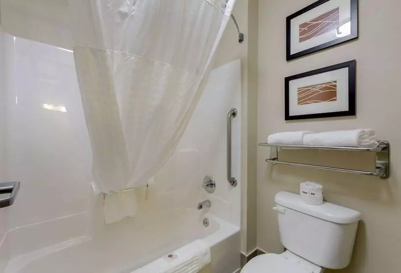 בית מלון כפרי Comfort Inn Mount Vernon