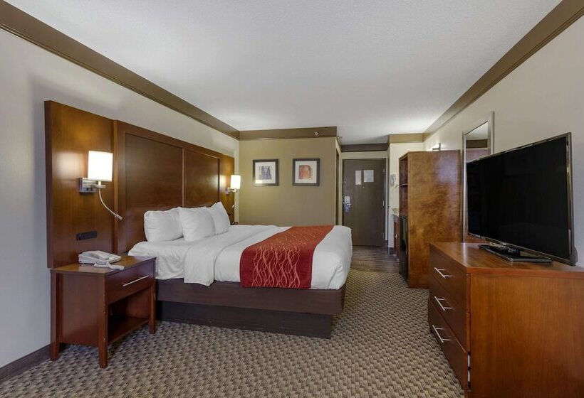 ホテル Comfort Inn Mount Vernon