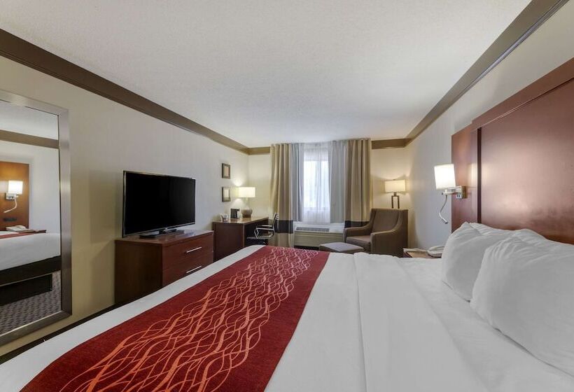 ホテル Comfort Inn Mount Vernon