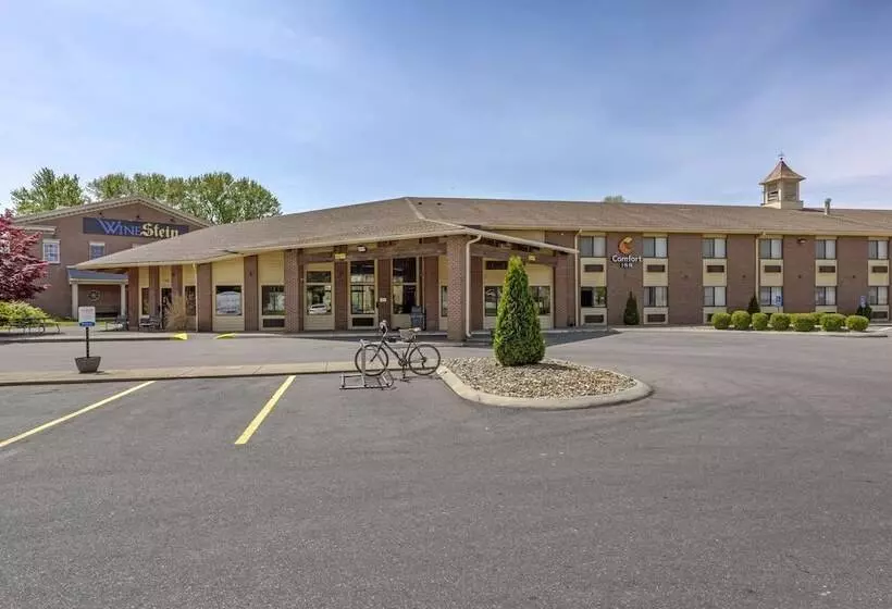 בית מלון כפרי Comfort Inn Mount Vernon