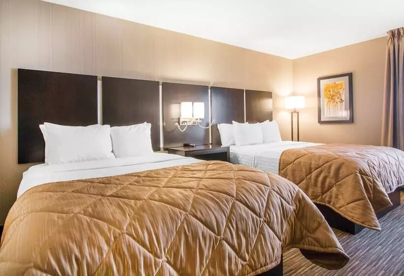 فندق Greenstay Inn & Suites Court View