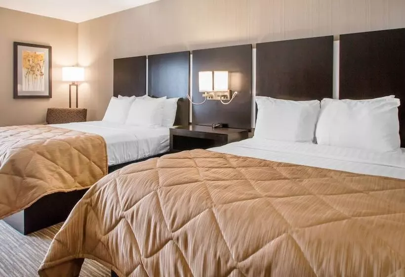 فندق Greenstay Inn & Suites Court View