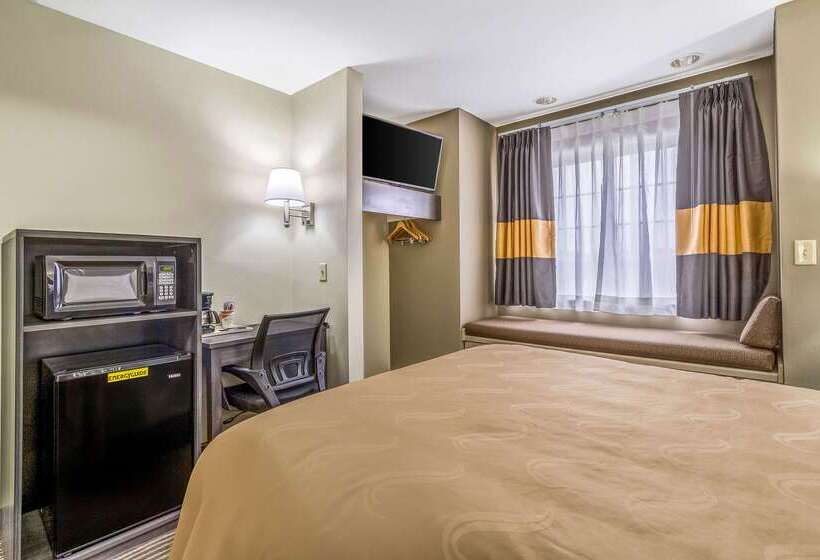 Hotel Quality Inn & Suites North Lima Boardman