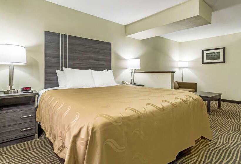 Hotel Quality Inn & Suites North Lima Boardman