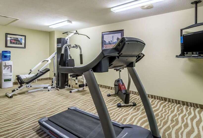 Hotel Quality Inn & Suites North Lima Boardman