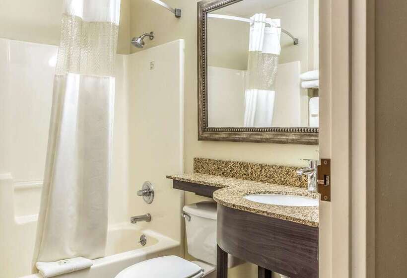 Hotel Quality Inn & Suites North Lima Boardman