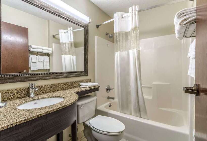 Hotel Quality Inn & Suites North Lima Boardman