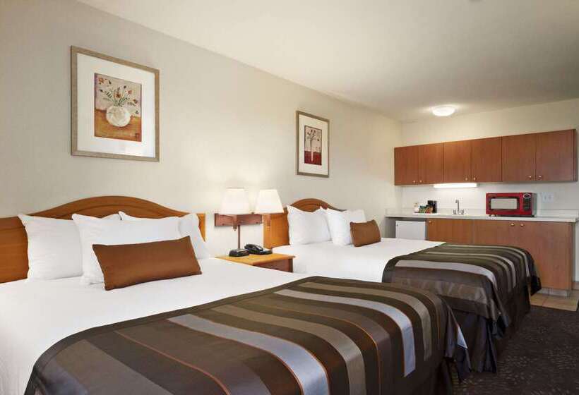 ホテル Ramada By Wyndham Seatac Airport