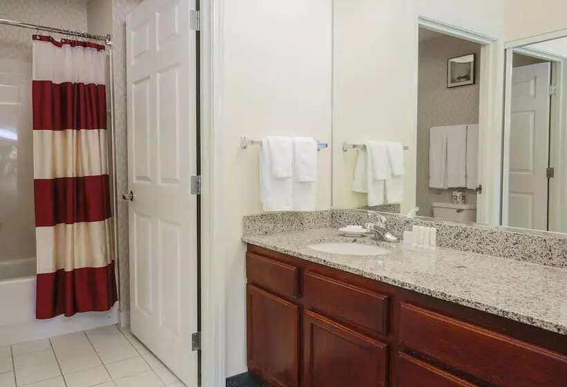 Отель Residence Inn By Marriott Flint Grand Blanc