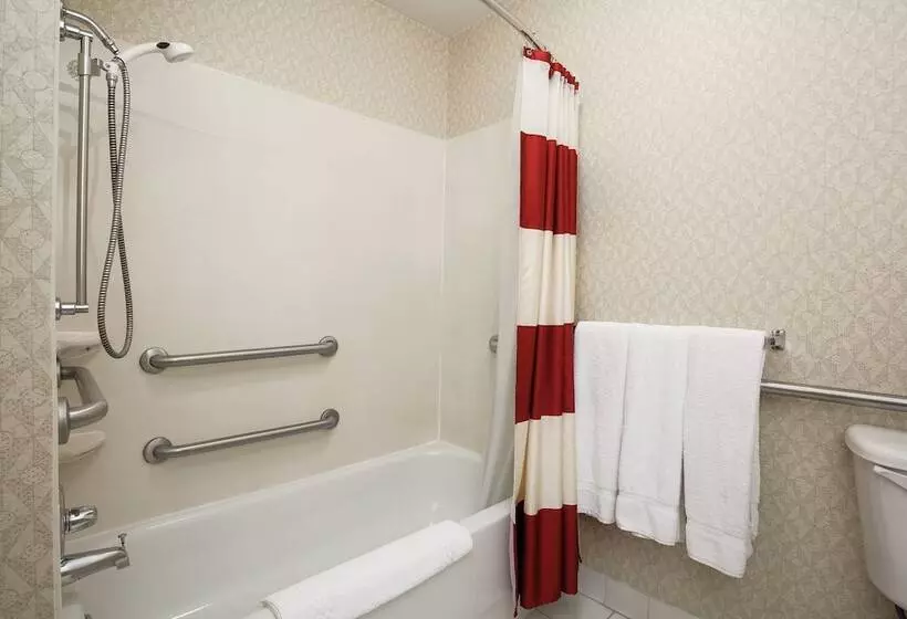 Отель Residence Inn By Marriott Flint Grand Blanc