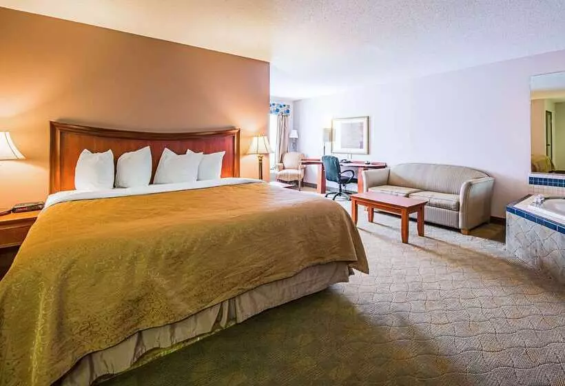 فندق Rodeway Inn