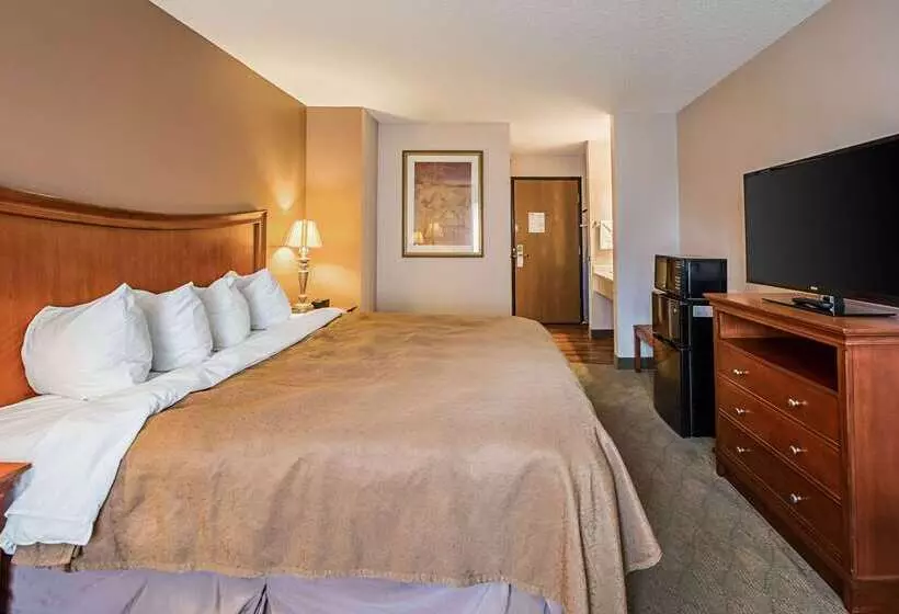 فندق Rodeway Inn