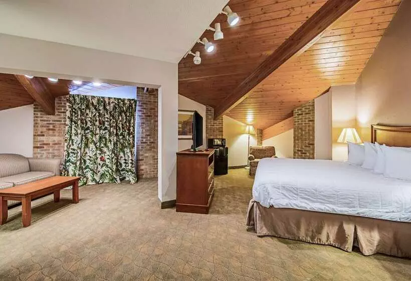 فندق Rodeway Inn