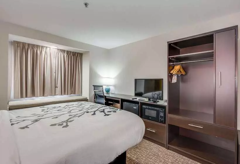 酒店 Sleep Inn & Suites