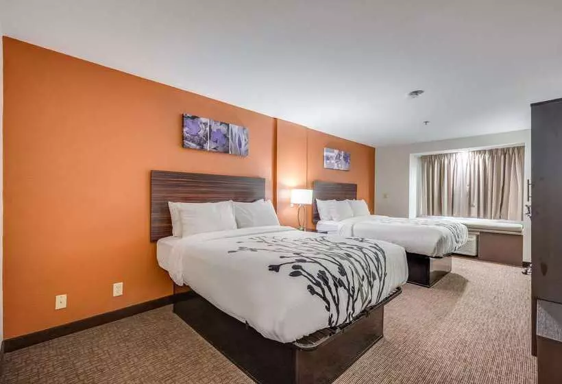 酒店 Sleep Inn & Suites