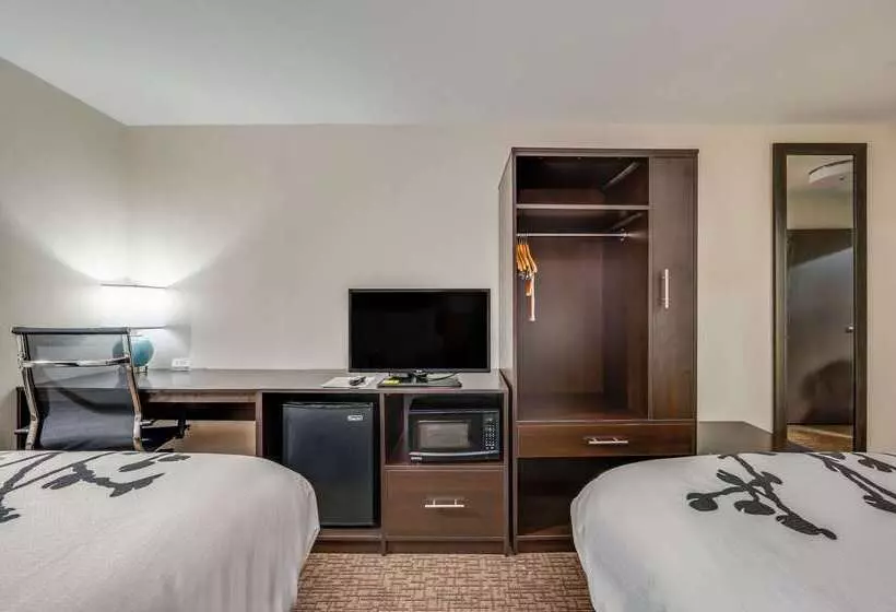 酒店 Sleep Inn & Suites