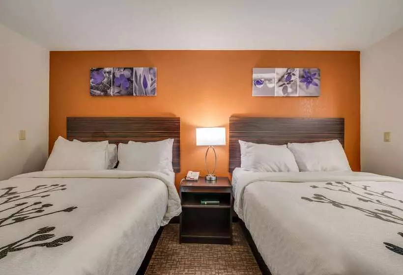 酒店 Sleep Inn & Suites