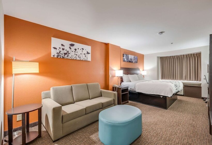 בית מלון כפרי Sleep Inn & Suites