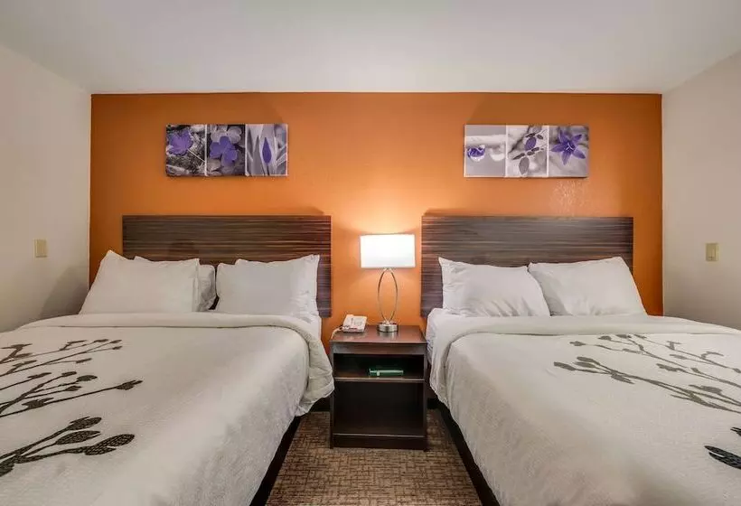 酒店 Sleep Inn & Suites
