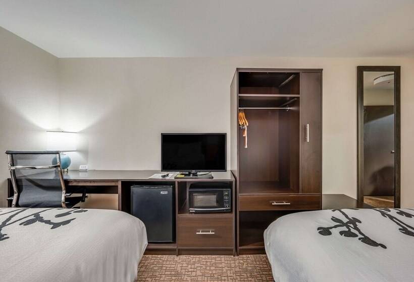 בית מלון כפרי Sleep Inn & Suites