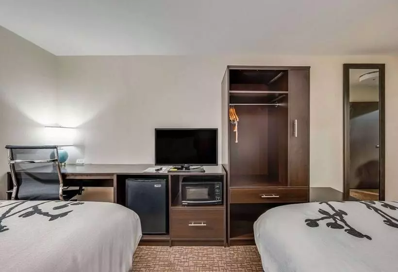 酒店 Sleep Inn & Suites